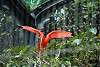 ueno_zoo_3378_mini.jpg