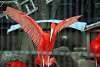 ueno_zoo_3389_mini.jpg