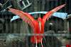 ueno_zoo_3395_mini.jpg