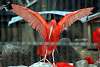 ueno_zoo_3397_mini.jpg
