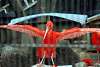 ueno_zoo_3398_mini.jpg