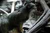 ueno_zoo_3514_mini.jpg