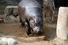 ueno_zoo_3545_mini.jpg