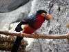 ueno_zoo_3592_mini.jpg