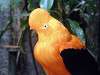 ueno_zoo_3596_mini.jpg