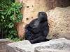 ueno_zoo_3602_mini.jpg