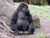 ueno_zoo_3631_mini.jpg