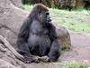 ueno_zoo_3632_mini.jpg