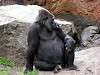 ueno_zoo_3647_mini.jpg