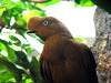ueno_zoo_3670_mini.jpg