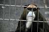 ueno_zoo_3779_mini.jpg