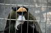 ueno_zoo_3783_mini.jpg