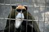 ueno_zoo_3784_mini.jpg