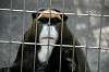 ueno_zoo_3787_mini.jpg