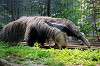 ueno_zoo_3827_mini.jpg