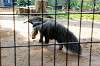 ueno_zoo_3838_mini.jpg