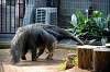ueno_zoo_3869_mini.jpg