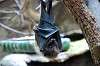 ueno_zoo_3918_mini.jpg
