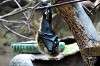ueno_zoo_3921_mini.jpg