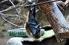 ueno_zoo_3922_mini.jpg