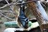 ueno_zoo_3924_mini.jpg