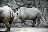 ueno_zoo_3997_mini.jpg