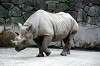 ueno_zoo_4002_mini.jpg