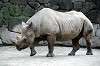 ueno_zoo_4004_mini.jpg