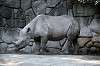 ueno_zoo_4010_mini.jpg