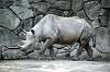 ueno_zoo_4012_mini.jpg