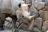 ueno_zoo_4020_mini.jpg