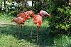 ueno_zoo_4027_mini.jpg