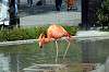ueno_zoo_4031_mini.jpg