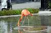 ueno_zoo_4032_mini.jpg