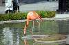 ueno_zoo_4033_mini.jpg