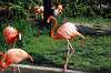 ueno_zoo_4045_mini.jpg