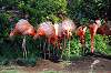 ueno_zoo_4048_mini.jpg