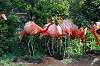 ueno_zoo_4050_mini.jpg