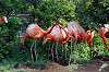 ueno_zoo_4051_mini.jpg