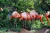 ueno_zoo_4052_mini.jpg