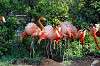 ueno_zoo_4054_mini.jpg