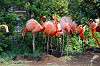 ueno_zoo_4060_mini.jpg