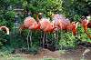 ueno_zoo_4061_mini.jpg