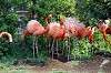 ueno_zoo_4062_mini.jpg