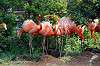 ueno_zoo_4063_mini.jpg
