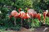 ueno_zoo_4064_mini.jpg