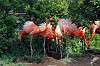 ueno_zoo_4066_mini.jpg