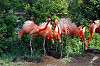 ueno_zoo_4067_mini.jpg