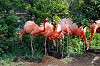 ueno_zoo_4068_mini.jpg