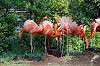 ueno_zoo_4069_mini.jpg